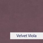 Velvet Viola