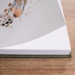 Endpapers Tracing Paper